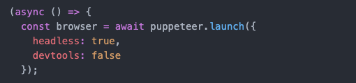 web scraping - Creating Puppeteer Object